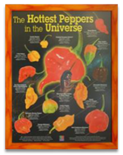 Hottest Peppers Poster